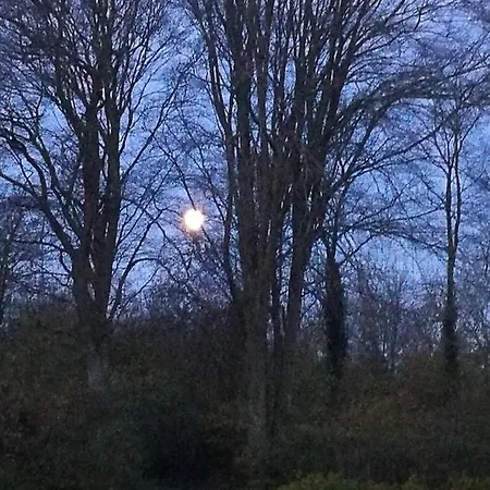 宏迪戈尔德住宿加早餐酒店 住宿加早餐酒店