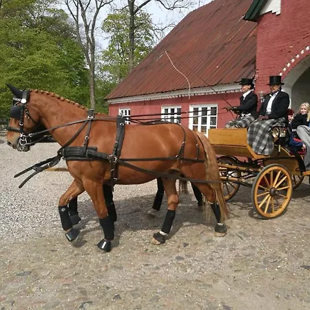 宏迪戈尔德住宿加早餐酒店 住宿加早餐酒店 Dronninglund