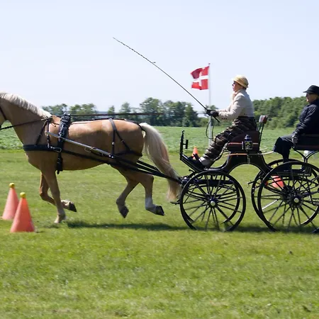 住宿加早餐酒店 宏迪戈尔德住宿加早餐酒店 2*