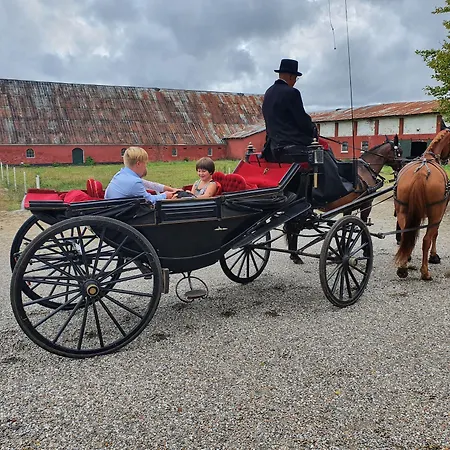 宏迪戈尔德住宿加早餐酒店