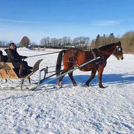 宏迪戈尔德住宿加早餐酒店 2*