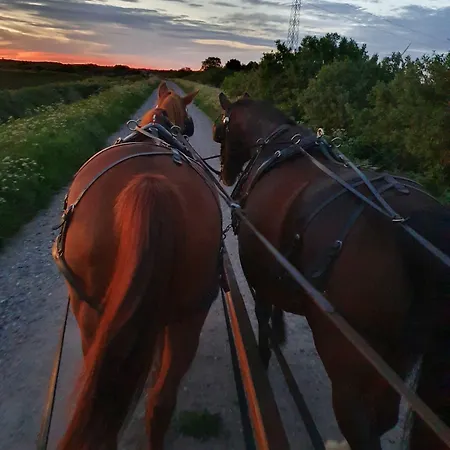 Couette-café Holtegaard 2*