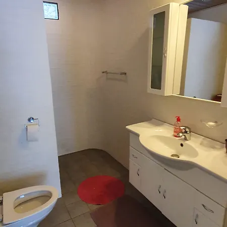 宏迪戈尔德住宿加早餐酒店 Dronninglund