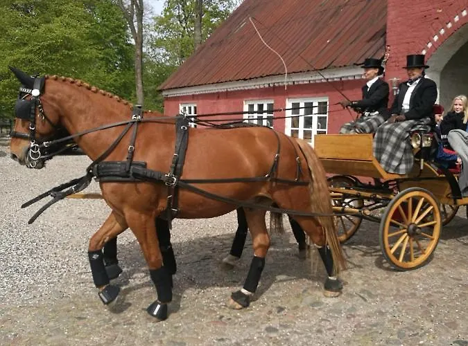 Holtegaard ベッド・アンド・ブレックファスト Dronninglund